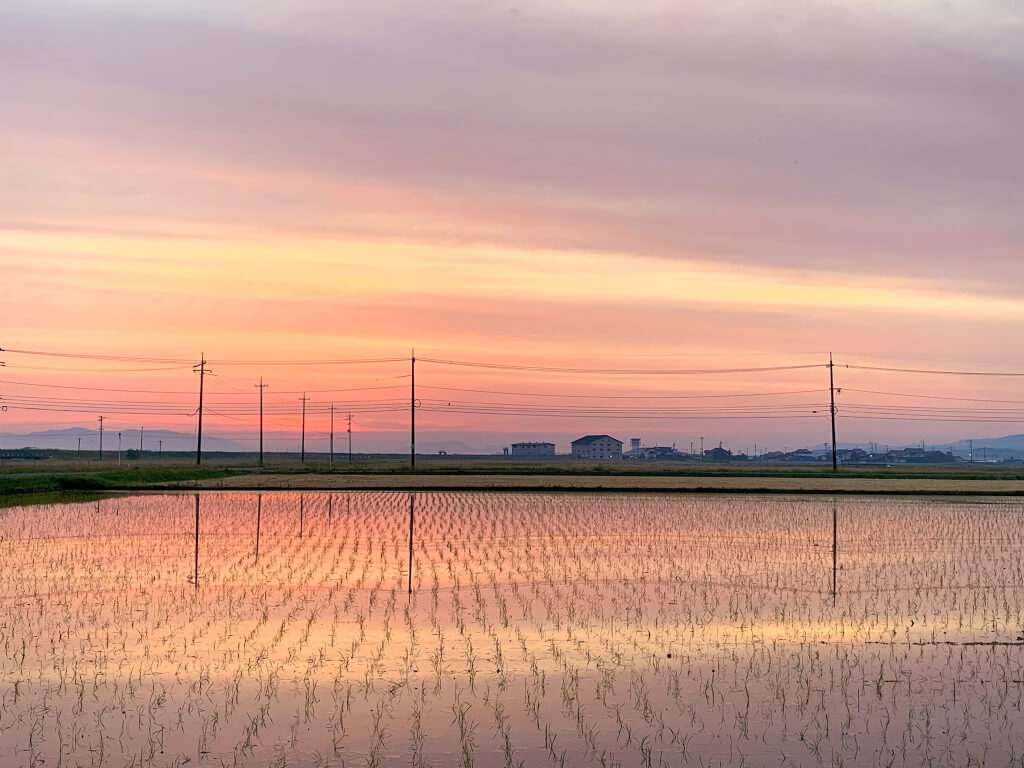 出雲市 5月ならではの絶景 水田に映る朝焼けが綺麗な季節です 号外net 出雲市 雲南市