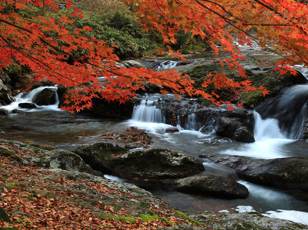 紅葉の八重滝