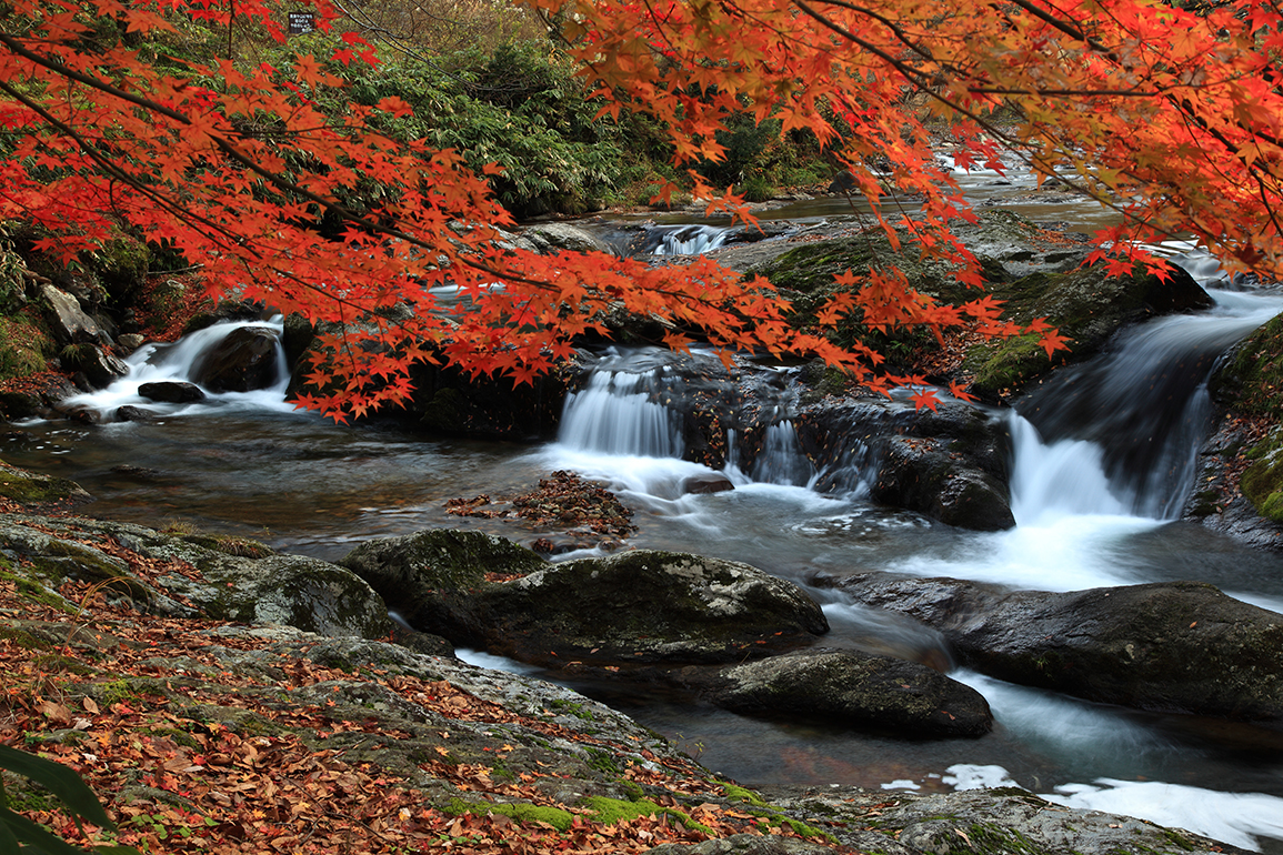 紅葉の八重滝