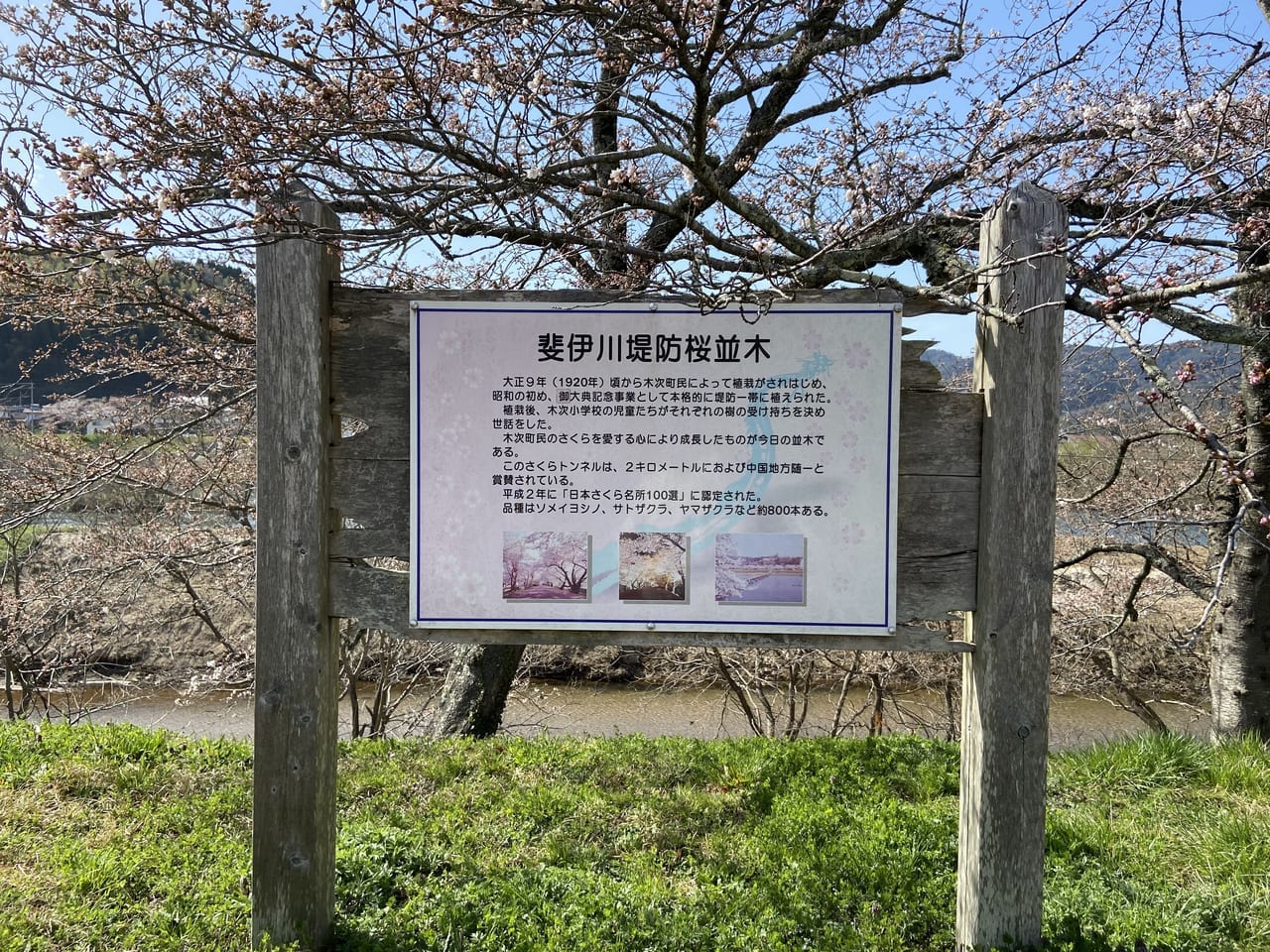 斐伊川堤防桜並木にある看板