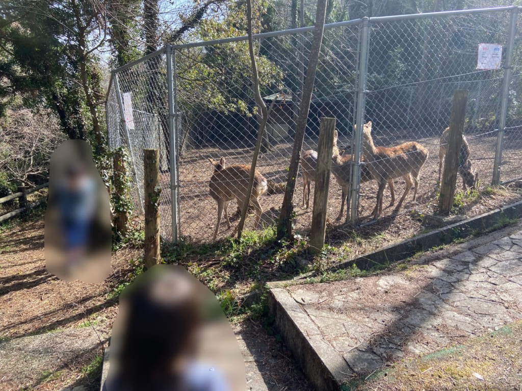 愛宕山公園