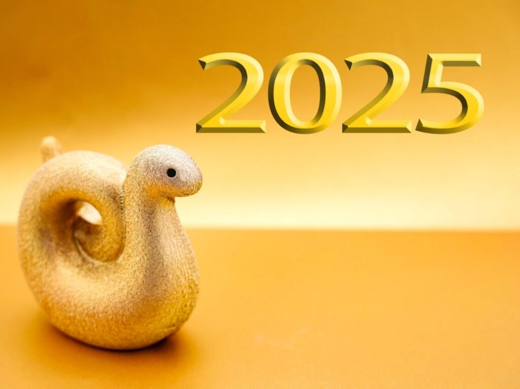 2025年始