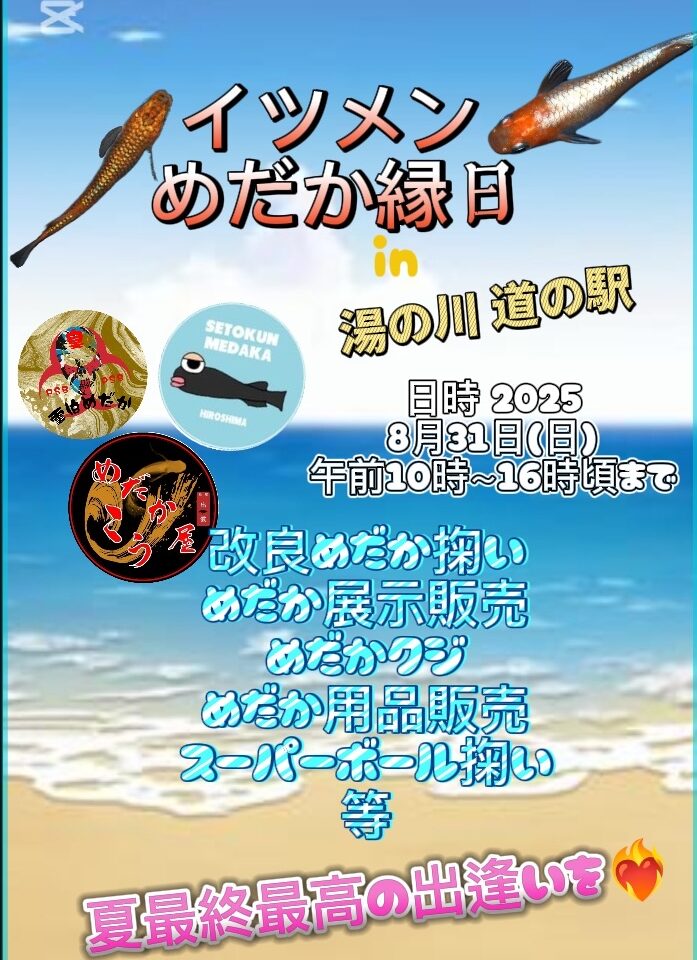 イツメンめだか縁日